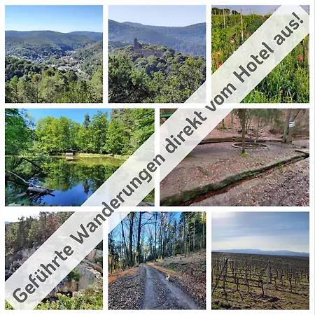 Hotel Bad Dürkheim Konukevi 3*