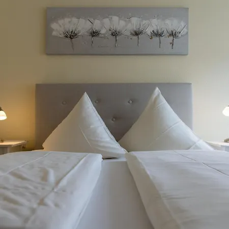 Guest house Hotel Bad Duerkheim