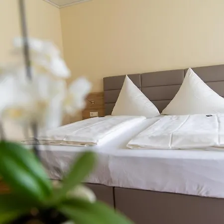 Hotel Bad Dürkheim Konukevi 3*