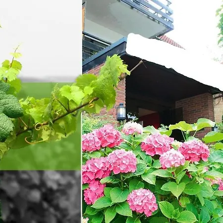 Hotel Bad Dürkheim Konukevi 3*