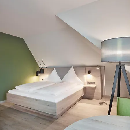 Hotel Bad Duerkheim Guest house 3*