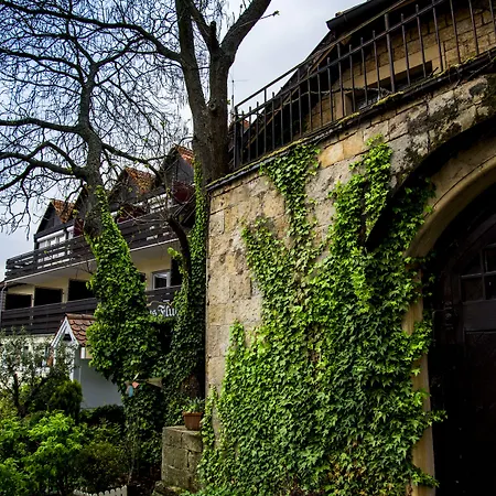 Hotel Bad Duerkheim Gæstehus 3*
