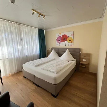 Gæstehus Hotel Bad Duerkheim Bad Dürkheim