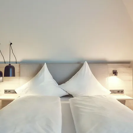 Hotel Bad Duerkheim 3*