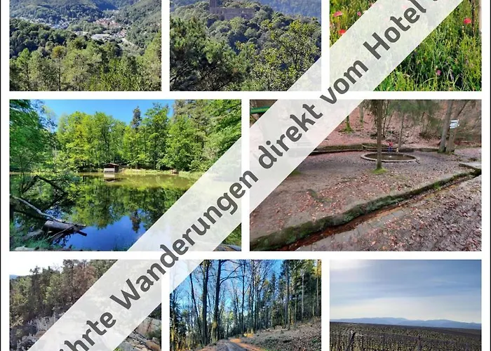 Hotel Bad Duerkheim Maison d'hôtes 3*