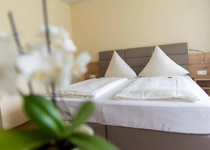 Hotel Bad Duerkheim Guest house 3*