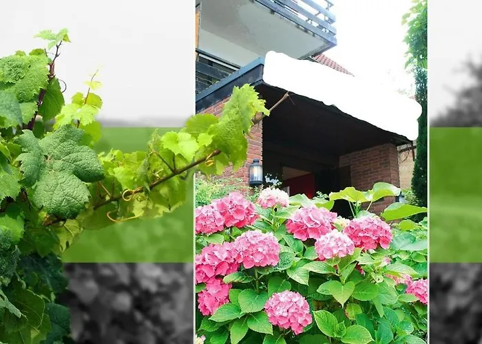 Hotel Bad Duerkheim Guest house 3*