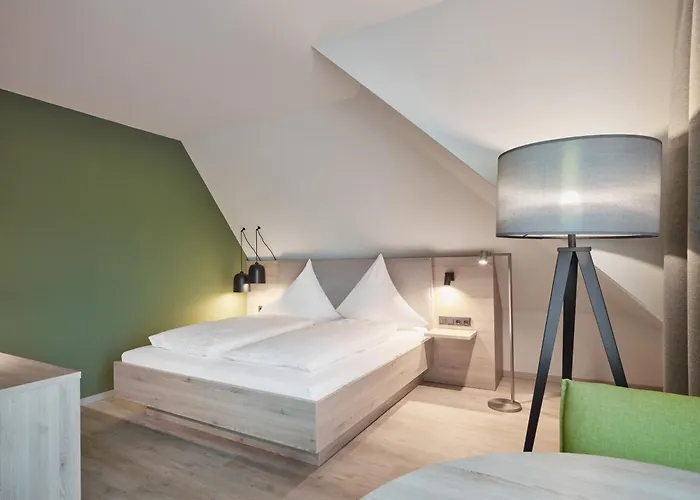 Hotel Bad Duerkheim 게스트하우스 3*