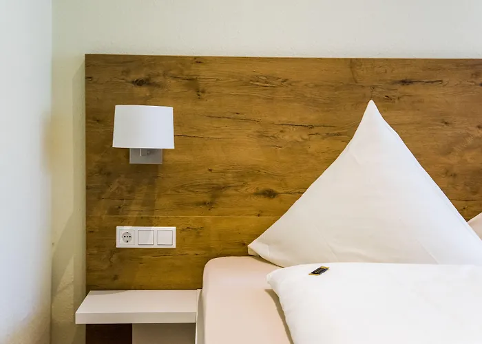 Hotel Bad Duerkheim 게스트하우스