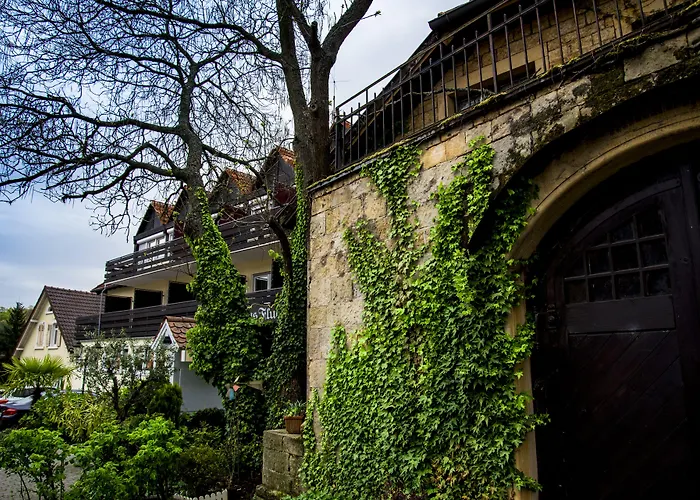 Hotel Bad Duerkheim Maison d'hôtes 3*