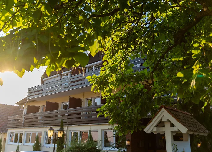 Hotel Bad Duerkheim ゲストハウス