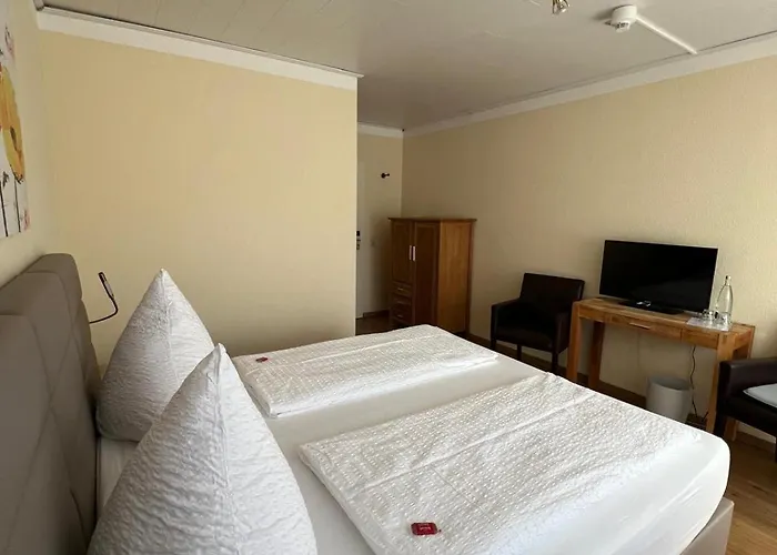 Hotel Bad Duerkheim Penzion Bad Dürkheim