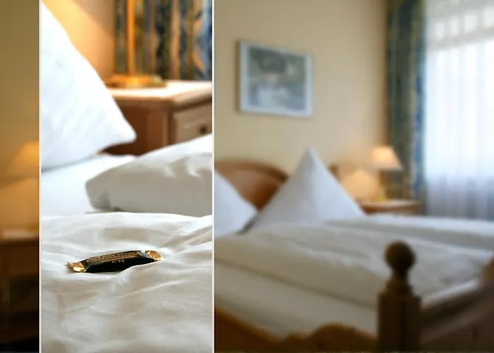 Maison d'hôtes Hotel Bad Duerkheim Bad Dürkheim